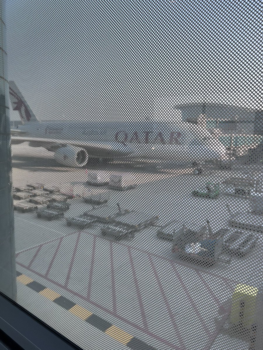 Flying home for Christmas