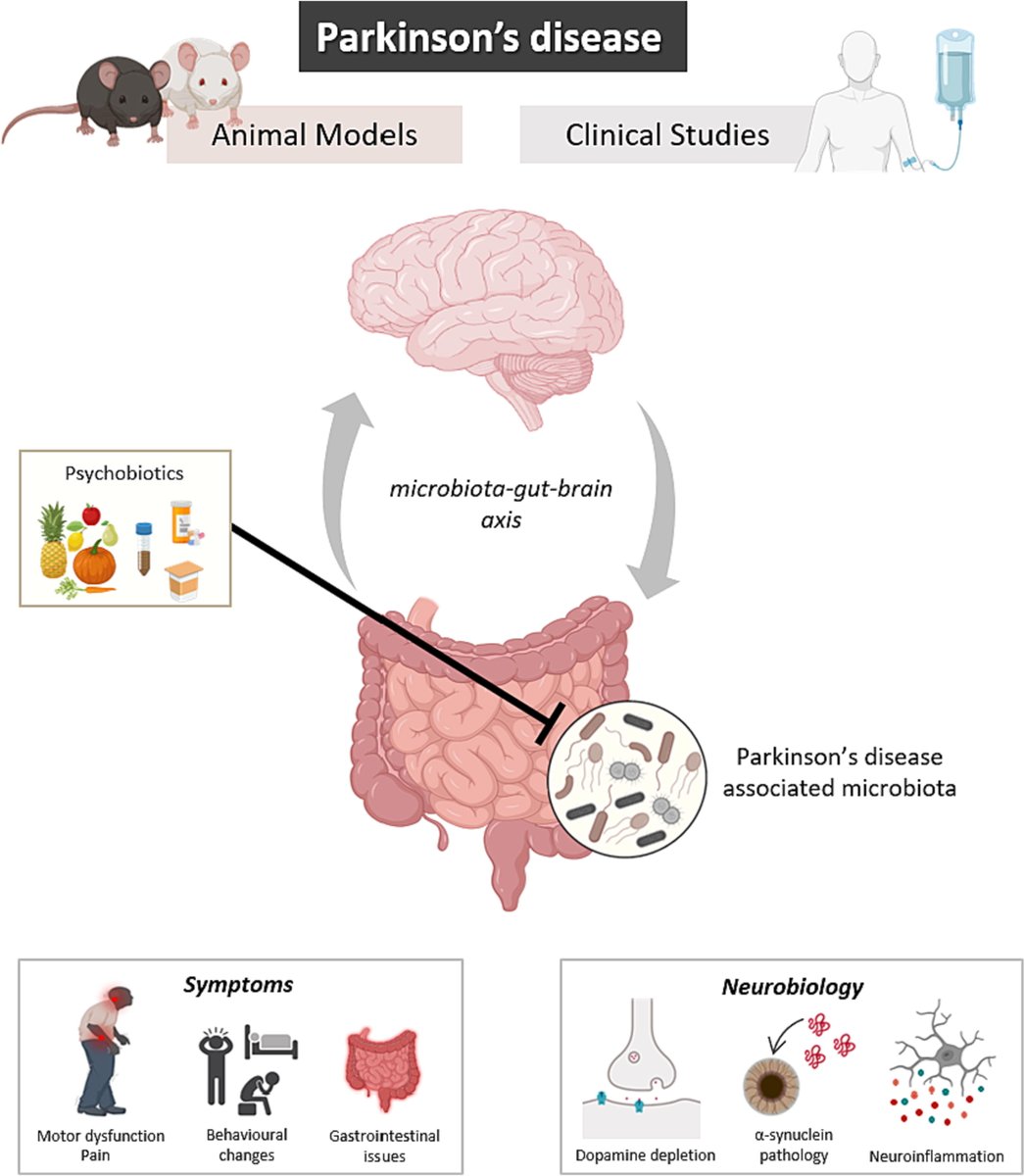 UCCpsychiatry (@uccpsychiatry) on Twitter photo Well done <a href="/barr0sthaisa/">Thaísa Barros</a> Gut-initiated Neuroprotection in Parkinson's Disease: When Microbes Turn the Tables in the Battle against Neuroinflammation <a href="/Pharmabiotic/">APC Microbiome Ireland</a>
sciencedirect.com/science/articl… Well done <a href="/barr0sthaisa/">Thaísa Barros</a> Gut-initiated Neuroprotection in Parkinson's Disease: When Microbes Turn the Tables in the Battle against Neuroinflammation <a href="/Pharmabiotic/">APC Microbiome Ireland</a>
sciencedirect.com/science/articl…