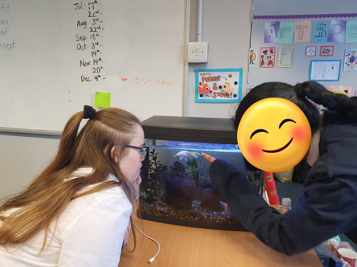 Some students from the Drummond ESB came to visit the Hub fish today and fed them their two-week holiday food!