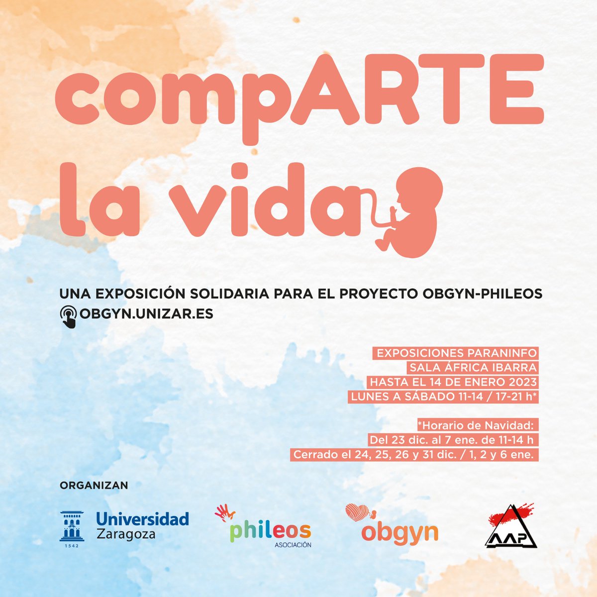 unizar's tweet photo. 'CompARTE la vida' es la nueva exposición solidaria en favor del #FundraisingUnizar Proyecto #OBGYN #ElOvilloDeLaVida. Obras de 40 artistas aragoneses
en #Paraninfo, del 21 de diciembre al 14 de enero. Acércate, compra arte y ayúdanos
🖌️https://t.co/bLbccIQnWW https://t.co/XlKrssybcT