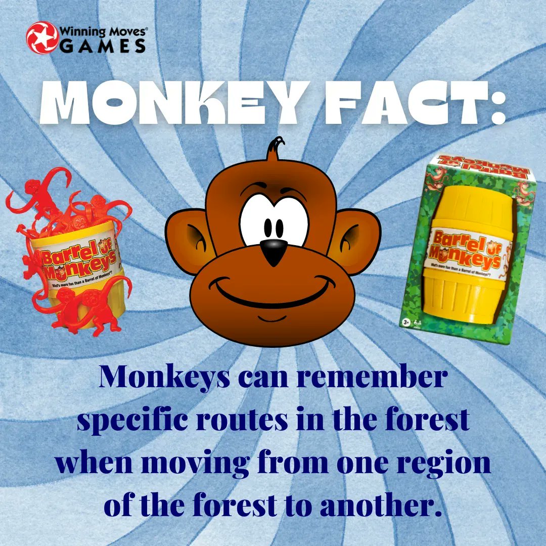 Winning Moves Games on Twitter "Monday 🐒 Monkey Fact Monkeys can