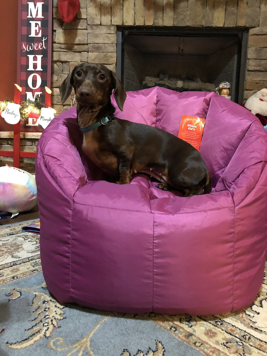 DawgsView's tweet photo. Woof https://t.co/reOLgBuLpP