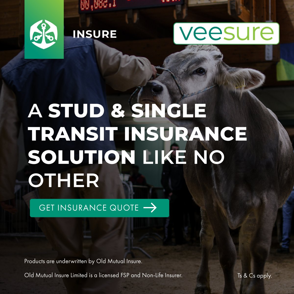 TeamSwiftVEE's tweet image. @TeamSwiftVEE and @OldMutualInsure bring you VeeSure. The new quick, convenient and easy-to-use stud animal and single transit insurance solution.

Learn more: swiftvee.com/veesure_info

#VeeSure #SwiftVEE