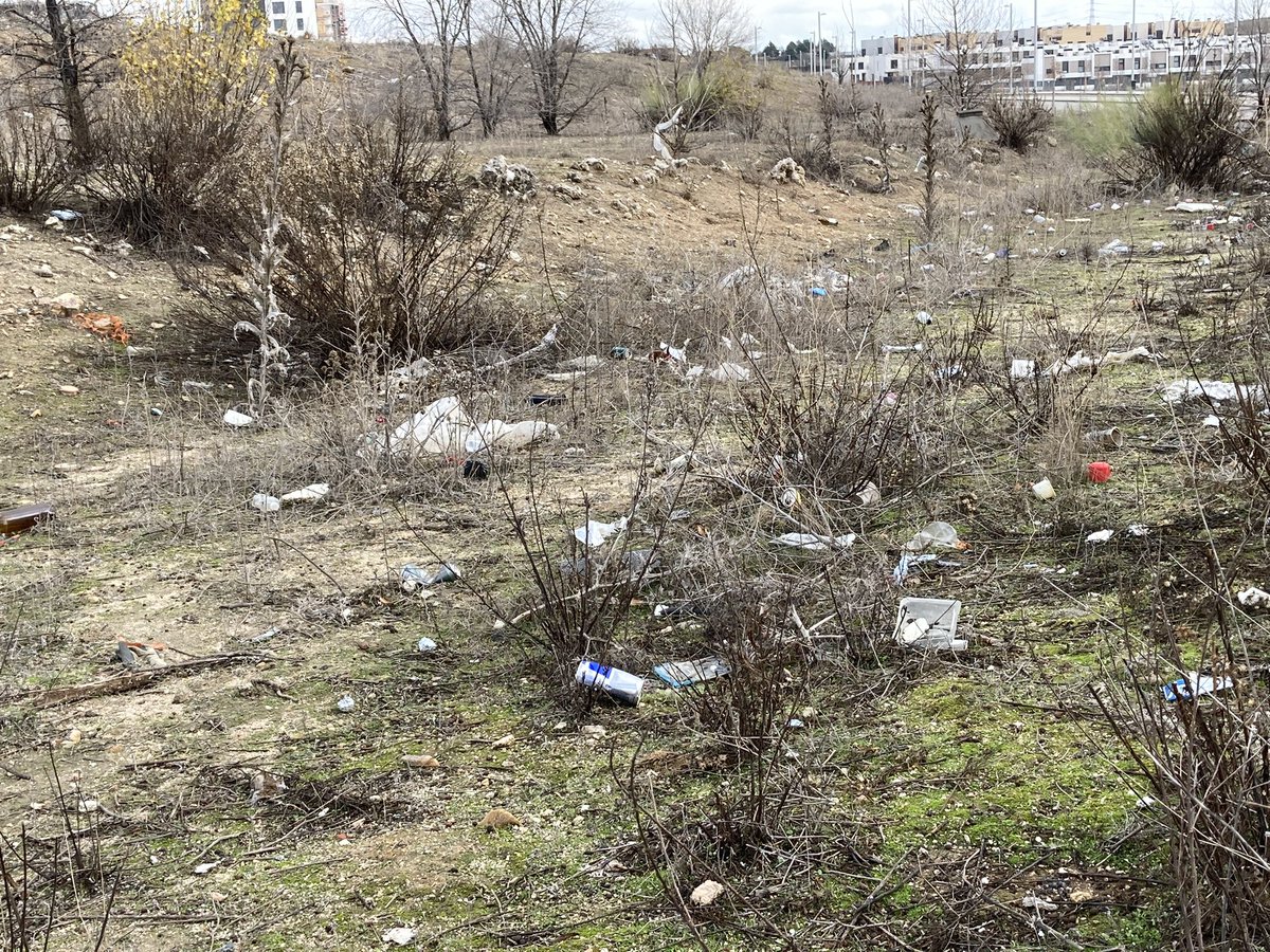 Restos de comida, latas, material de obra…esto es el Parque Central de #ElCañaveral 

A la espera del proyecto que presentará (?) @MarianoFuentesS es de extrema urgencia acondicionar la parcela central. 

Ya hay plaga de ratas y por lo tanto un problema de salud pública. 🐀