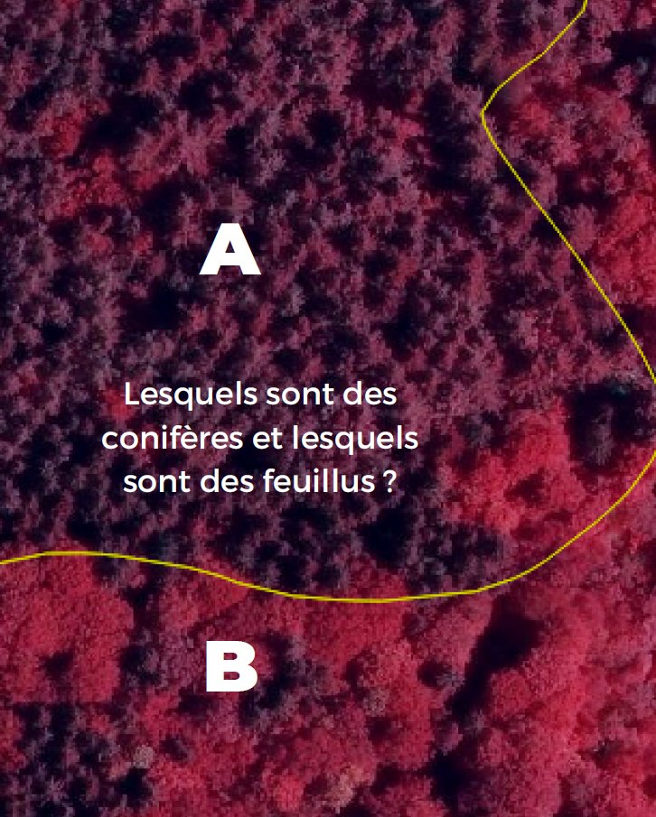 🎄 Le défi de Noël : parviendrez-vous à interpréter cette photo ?

Lors de la #cartographie d'un territoire, plusieurs types d'images sont utilisés pour acquérir des informations.

🤔 Avez-vous l'étoffe d'un #photointerprète ?
Dites-nous en commentaire ! 👇
