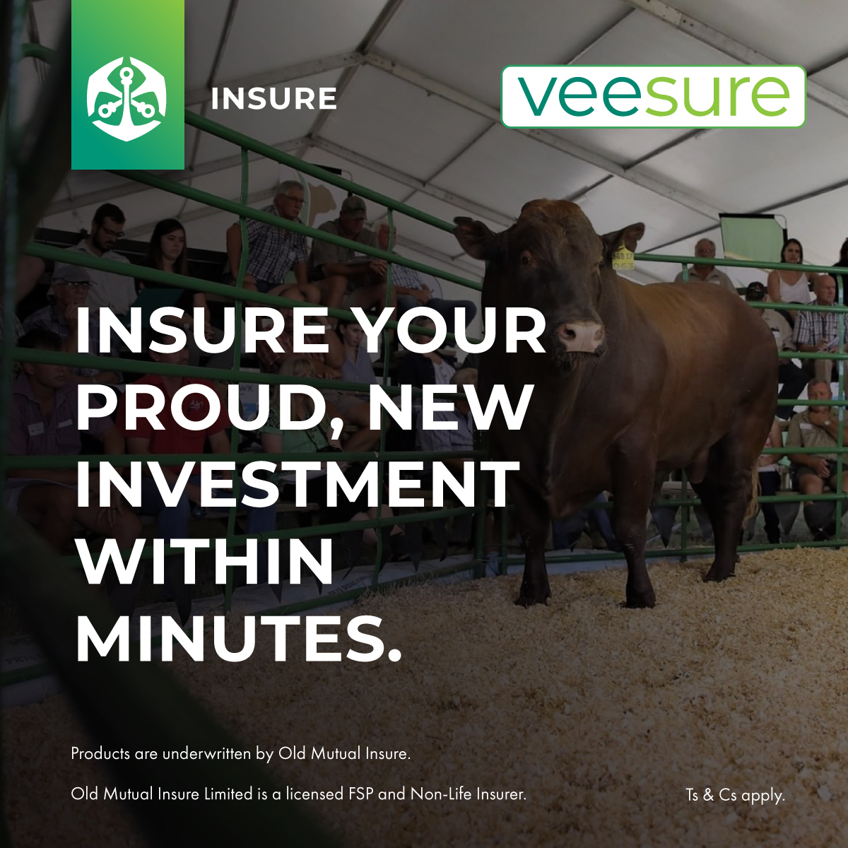 TeamSwiftVEE's tweet image. Insure your proud new investment within minutes with @TeamSwiftVEE and @OldMutualInsure&apos;s VeeSure.

Learn more: swiftvee.com/veesure_info

#VeeSure #SwiftVEE