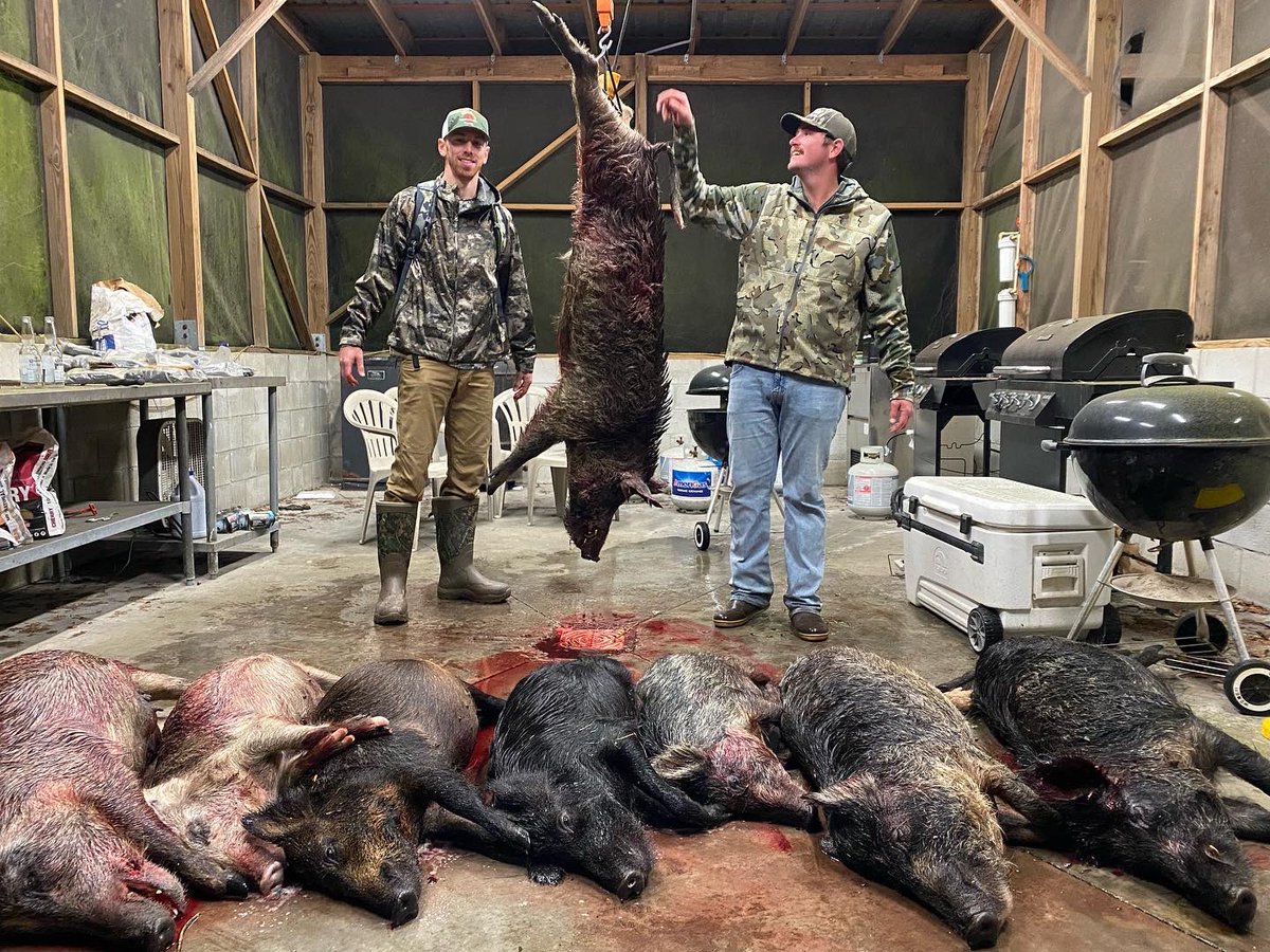 mf_outdoors's tweet photo. 2022 #TaylorCreek #MemberGuest in the books. Congratulations #JustinWagner on the winning boar hog! #mfoutdoors https://t.co/vdmSdYscR5
