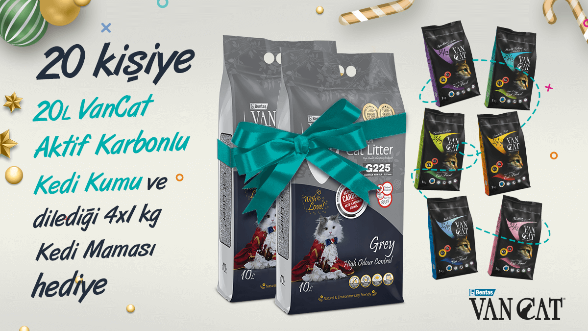 VanCat Türkiye tweet media