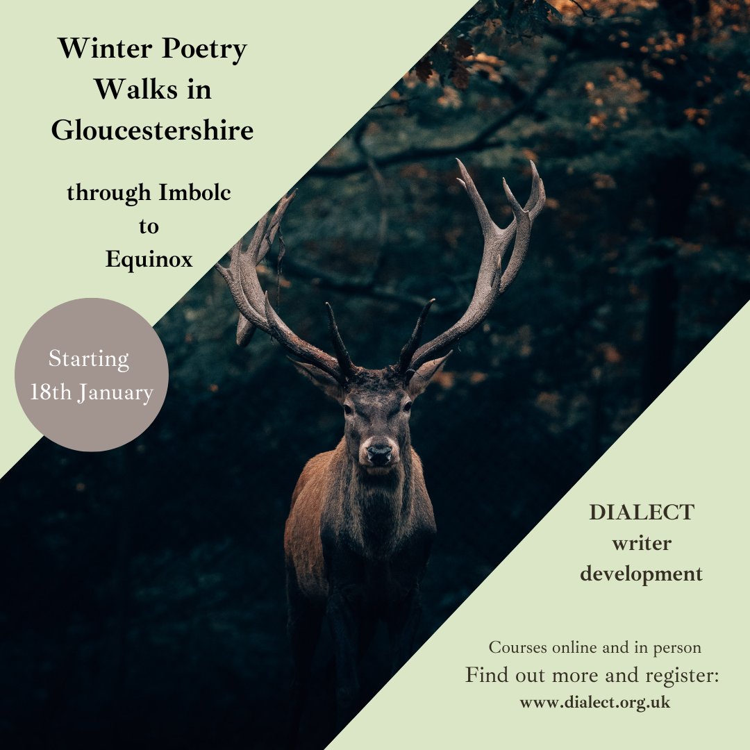 dialectwriters's tweet photo. Movement can play an important role in truly embodied poetry that sings on the page - come walking with us in #Gloucestershire through Imbolc to the Spring Equinox and find out more #poetrywalks #walkshop #poetrytwitter #poetrycommunity
https://t.co/hLEaczH8QW https://t.co/SJXAk6Qst1