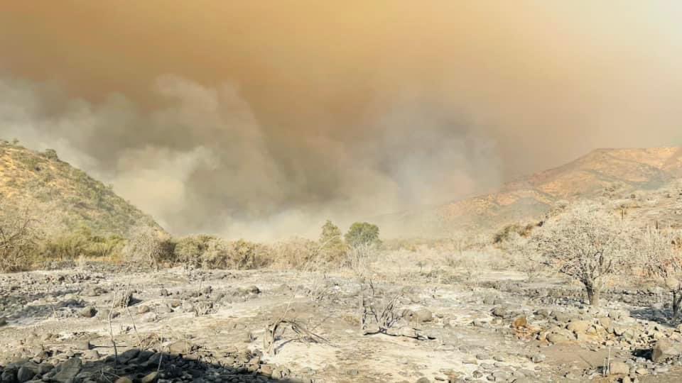 Quinta_Bollenar's tweet photo. Durante la semana pasada, nuestra Máquina BF5 trabajó dos jornadas en apoyo de Incendio Forestal en Fundo #Caren, Comuna de #Curacaví. 🚒🚨 https://t.co/f9GhnXbcf0