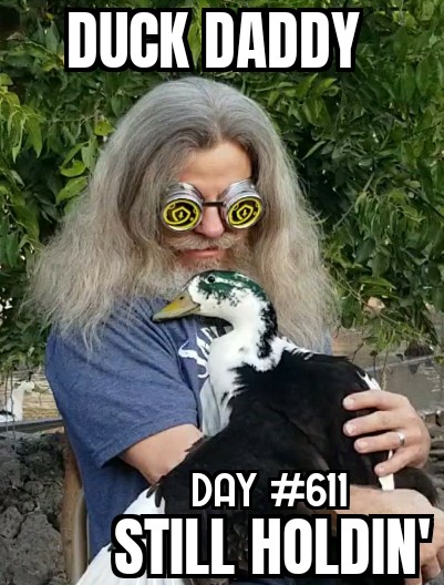 RipVanWizard's tweet photo. Happy Monday Morning Everybody!
Just Eleven Days Until 2023!
Stay Warm and Safe!
#SAFEMOON
#SAFEMOONARMY
#SAFEMOONGALAXY
#LIVEYOURDREAM
#GROVE
#BBTF
#CROGE
#CRYFT
#SwapTC
#MProtocol
#MetaMerceToken
#Vanity
#GLOW
#LCP
#RHYTHM
#IMRTL
#PAWTH
#FND
#MFX
#SHIDOFINANCE https://t.co/njnfGypZNA