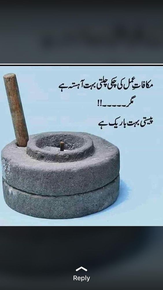 Sadia_Haleema1's tweet photo. #justiceforjunaidmalik https://t.co/nKXKccF4z9