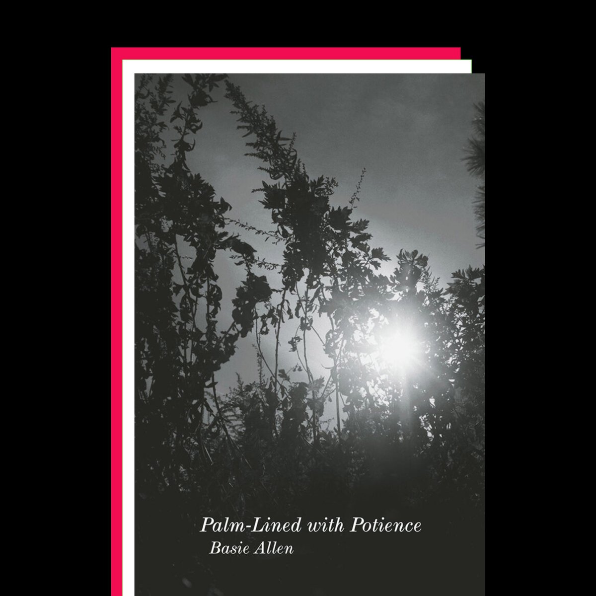 Read <a href="/ANickRees/">Nick Rees Gardner</a>' review of Basie Allens's 𝘗𝘢𝘭𝘮-𝘓𝘪𝘯𝘦 𝘸𝘪𝘵𝘩 𝘗𝘰𝘵𝘪𝘦𝘯𝘤𝘦 (<a href="/uglyducklingprs/">UGLY DUCKLING PRESSE</a>, 2022).

Follow the link below and continue exploring our Study Room!

stillpointmag.org/articles/palm-…