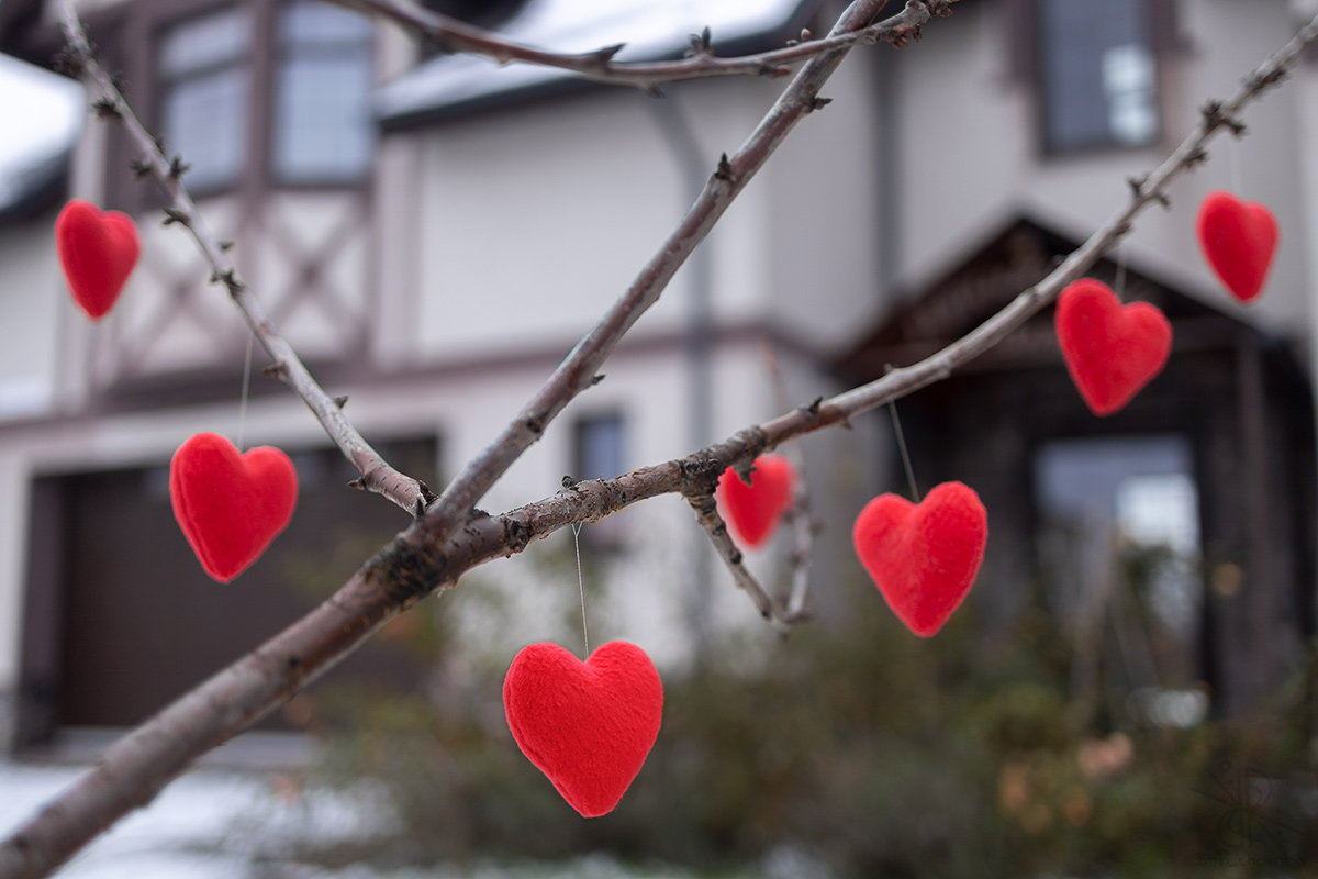 Дерево любви.
#bbpachamba_photo #bbpachamba_toys