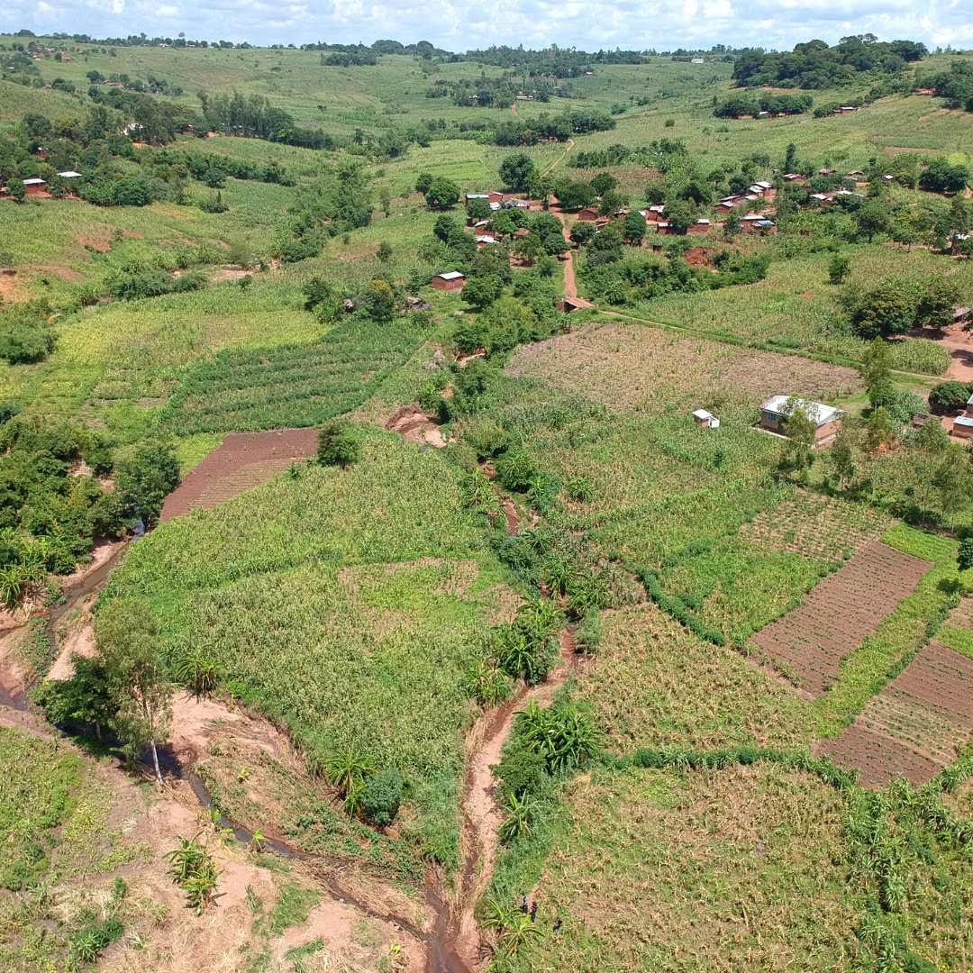 DHLAfrica's tweet photo. DHL Express and @Greenpop have partnered to plant 12,000 trees in Malawi in 2023.

The #LandscapeRestorationProject aims to restore 5 hectares of land through natural regeneration management.

#DHLDelivers #Greenpop #reforestation #Sustainability https://t.co/DjQs16toBA