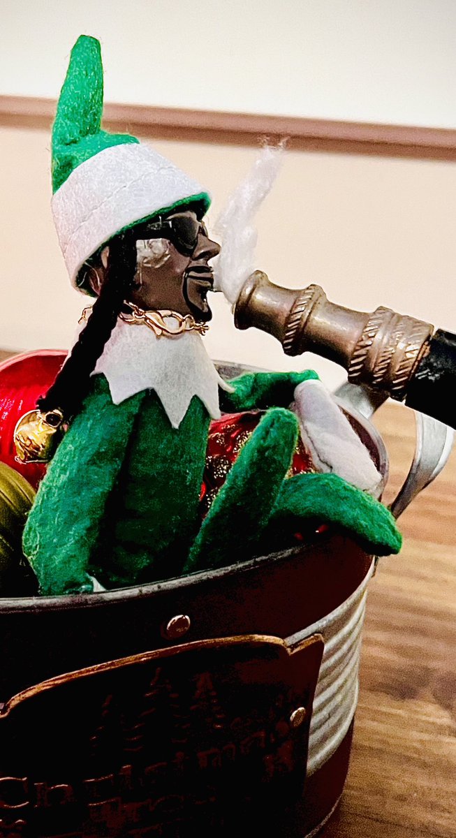 MJADetBos's tweet image. The best #SnoopOnAStoop yet…