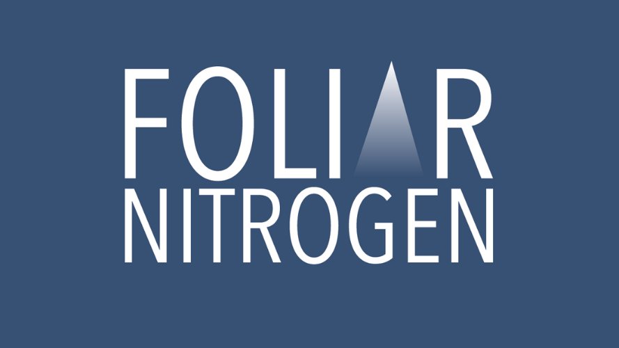 Joel Williams tweet media