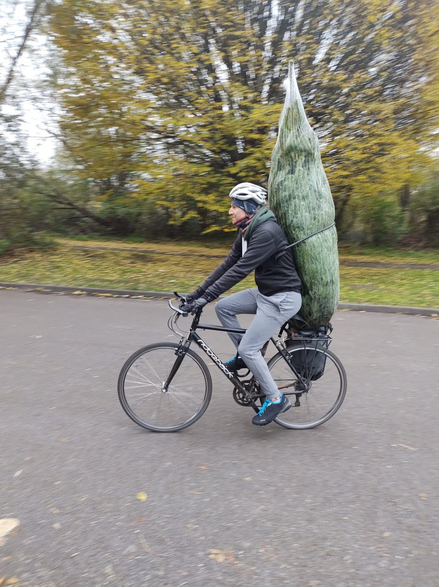 dcswindells's tweet photo. Just discovered #TreeByBike hashtag, so had to contribute with this year's effort! https://t.co/PG0EIYpLbG