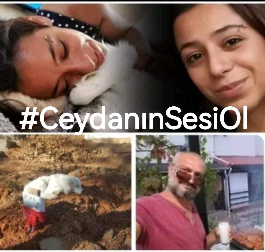 #CeydaYüksel davası için 
geri sayım başladı.
20 Aralık Salı günü saat 15:00'te 
İzmir Bayraklı adliyesinde
herkesi dayanışmaya davet ediyoruz.
#CeydanınSesiOl ‼️