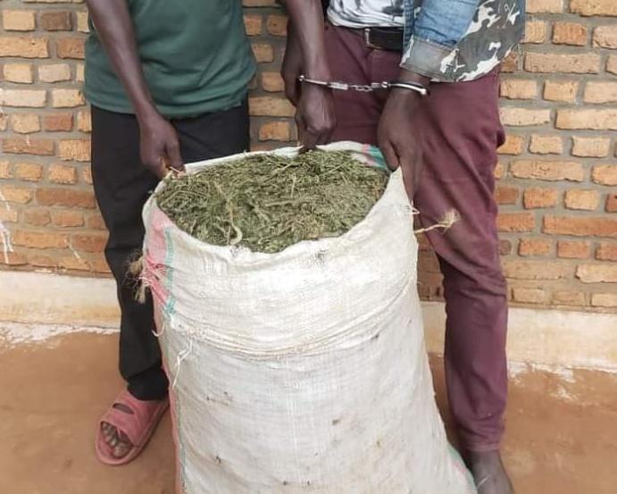JumuiyaTv's tweet photo. La @Burundi_Police a arrêté ce 18 12.2022 à NyanzaLac, deux personnes qui transportaient de la #Tanzanie 25 kg de chanvre 
#EAC
#Burundi 
#Kenya 
#Tanzania https://t.co/e80k7kCxJ7