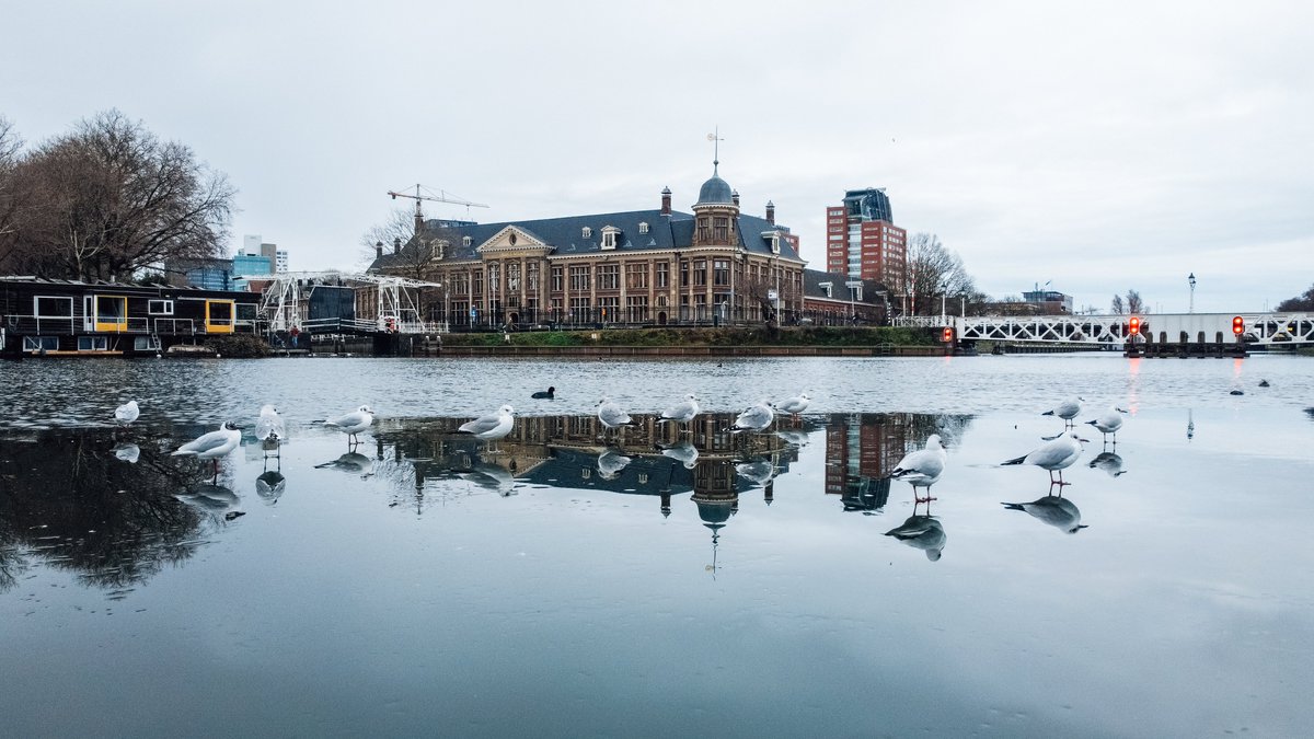 Munt_IJsmeester's tweet photo. Geduld = een schone zaak... Er komt vast weer een Ice Age! #tegeltjeswijsheid #ijspret #ijsplein #rijksmunt #030 #ooginal #lombok https://t.co/RAhIcuNM9x