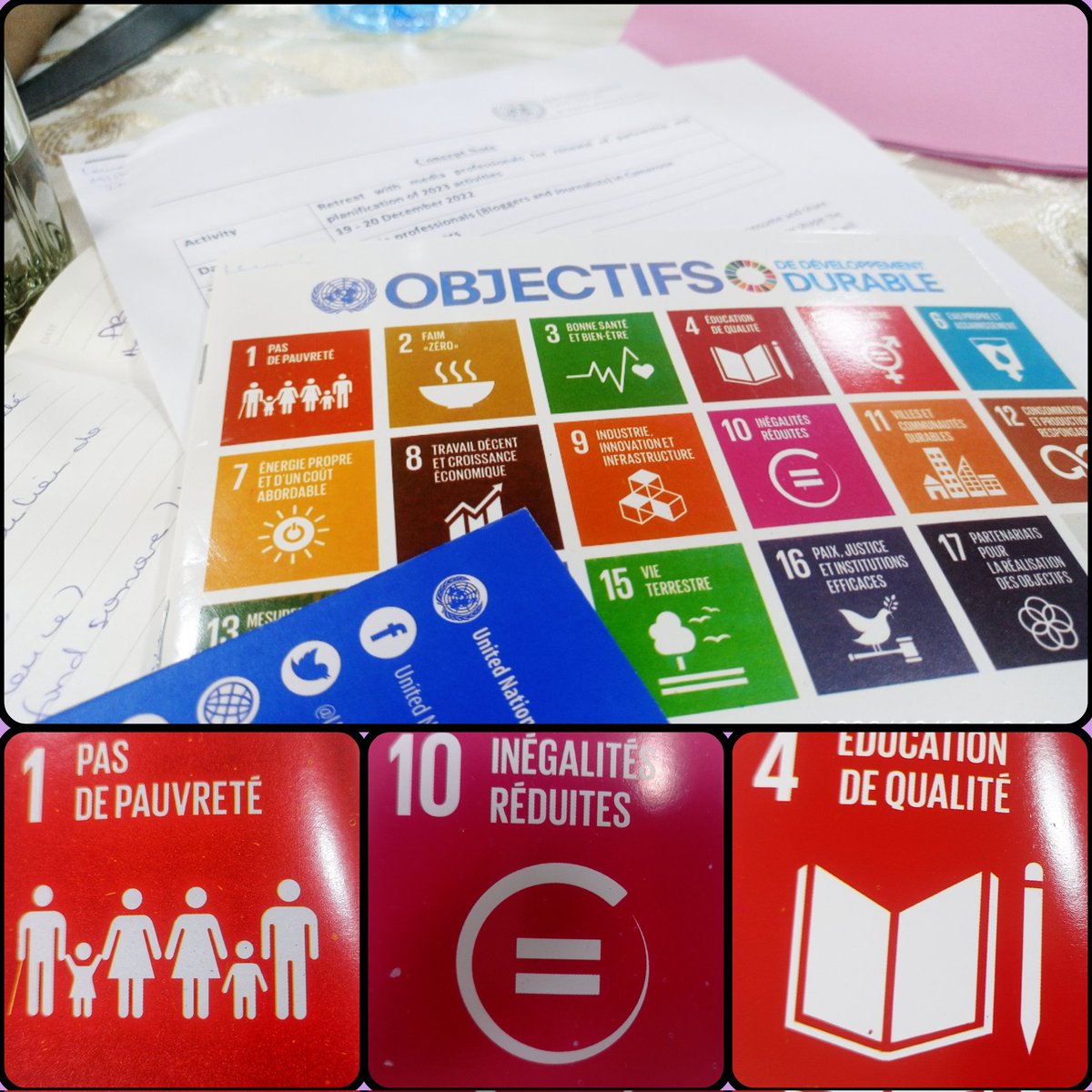 doualanow's tweet photo. Parmi les objectifs de développement durable, je me rends compte que je bosse majoritairement sur le 1-4-10.
@UN_Cameroon #ABCmeetsUNCmr
#PICLAYOUT https://t.co/OSwQ5KyZzr