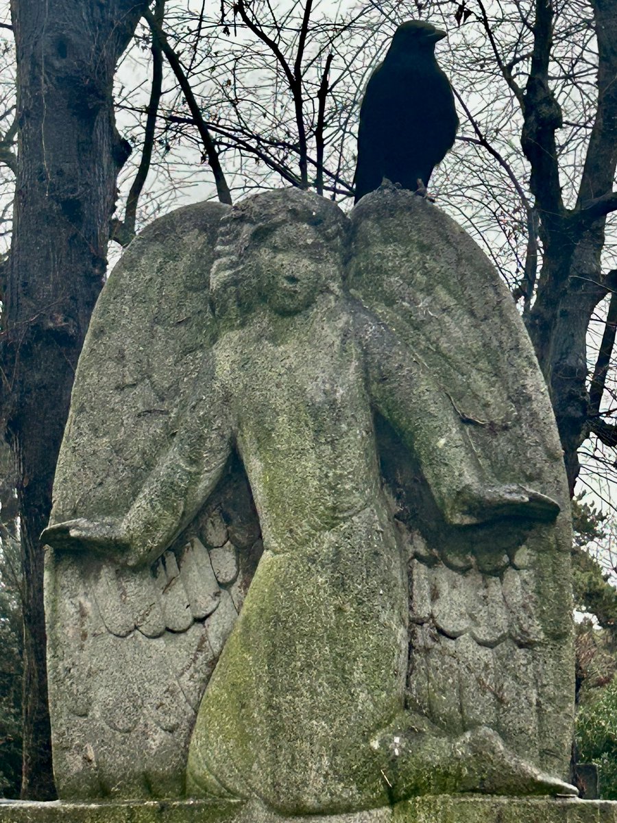 The Brompton Bunch on Twitter "More Brompton in the rain."