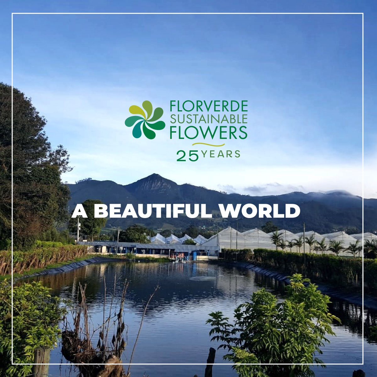 Florverde® tweet media