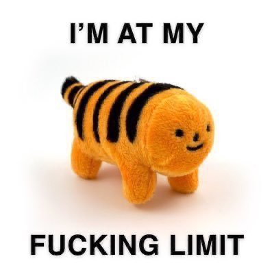 ennntropy's tweet image. 