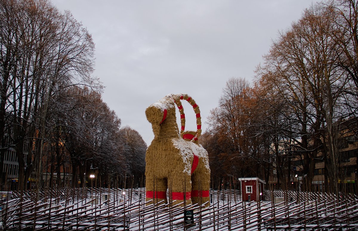 Nicola Whyte on Twitter "RT Gavlebocken Happy goat in a winter coat! 🐐"