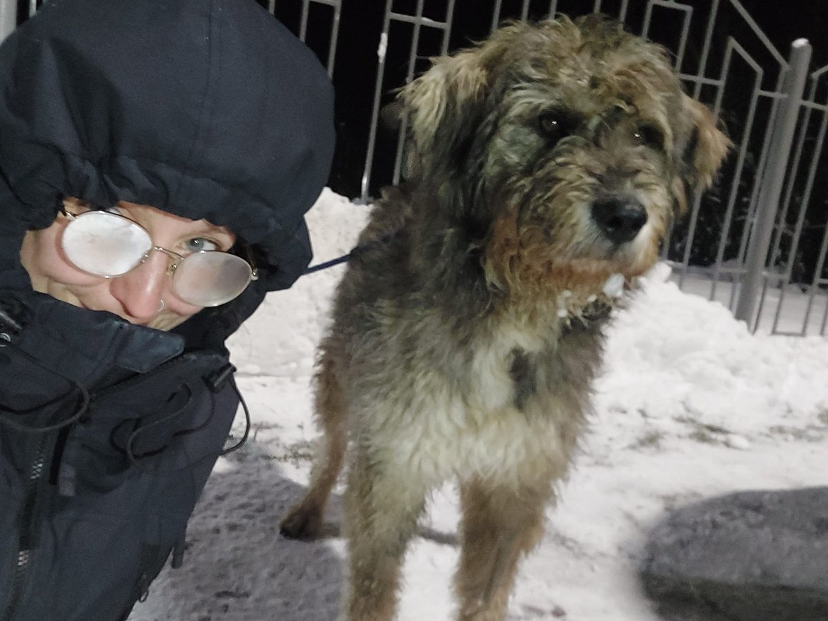 SelenaCaamano's tweet photo. His trusting heart and kind spirit, unbroken.🥰
 
He survived a hellish nightmare of an existence for months on end in an enemy occupied village on the eastern Frontline.
Starving and alone.
He needed help
and help finally came.
Team #UWARF 
🆕Neron meets his new family in #Odesa https://t.co/q6oXwSwoOV