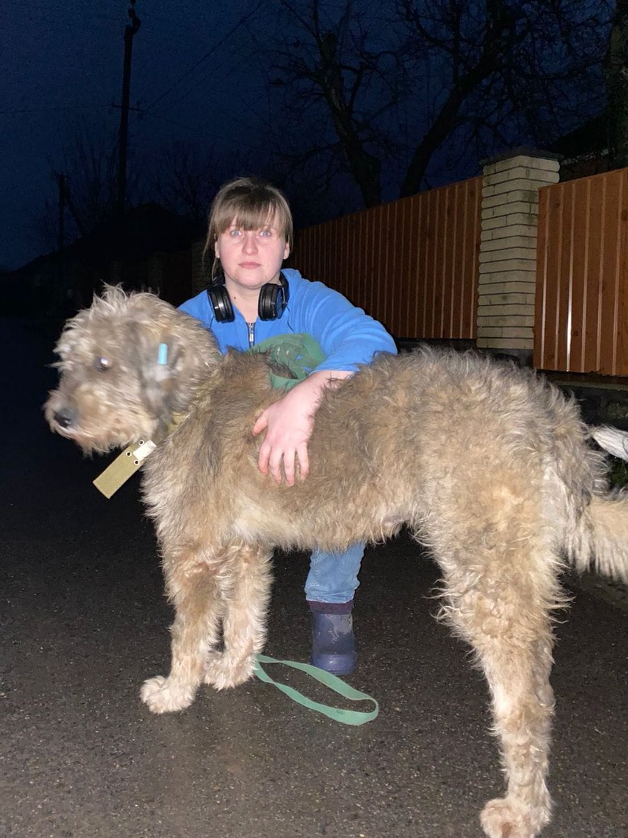 SelenaCaamano's tweet photo. His trusting heart and kind spirit, unbroken.🥰
 
He survived a hellish nightmare of an existence for months on end in an enemy occupied village on the eastern Frontline.
Starving and alone.
He needed help
and help finally came.
Team #UWARF 
🆕Neron meets his new family in #Odesa https://t.co/q6oXwSwoOV