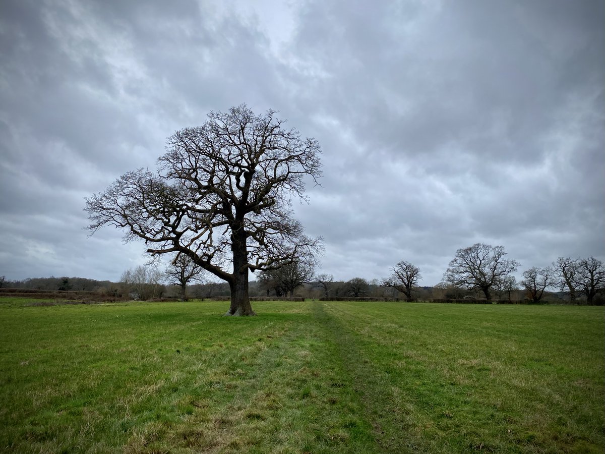 GrowlerOutdoor's tweet photo. Top trips of 2022: Discover Downside Surrey SCC Circular Walk. 9.6 km starting from Holly Hedge Car Park, Cobham

https://t.co/cFXLAsAY99

#getoutside #trek @ExploreSurreyUK https://t.co/HoJ5Gpg3wo