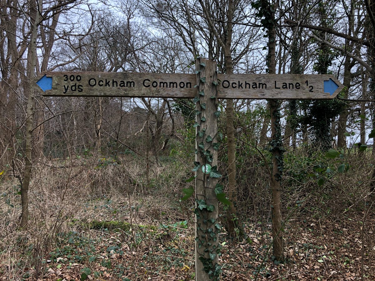 Top trips of 2022: Discover Downside Surrey SCC Circular Walk. 9.6 km starting from Holly Hedge Car Park, Cobham

richardgower.com/blog/discoverd…

#getoutside #trek <a href="/ExploreSurreyUK/">Explore Surrey's Countryside</a>