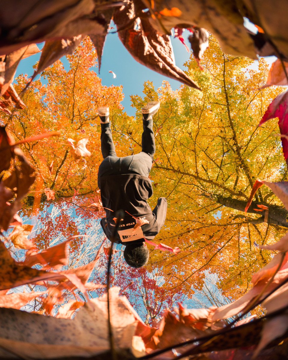 ta_tsugopro's tweet photo. 紅葉の新しい見方🍁
 #ゴープロ  #ゴープロのある生活 https://t.co/xnknunkJJv