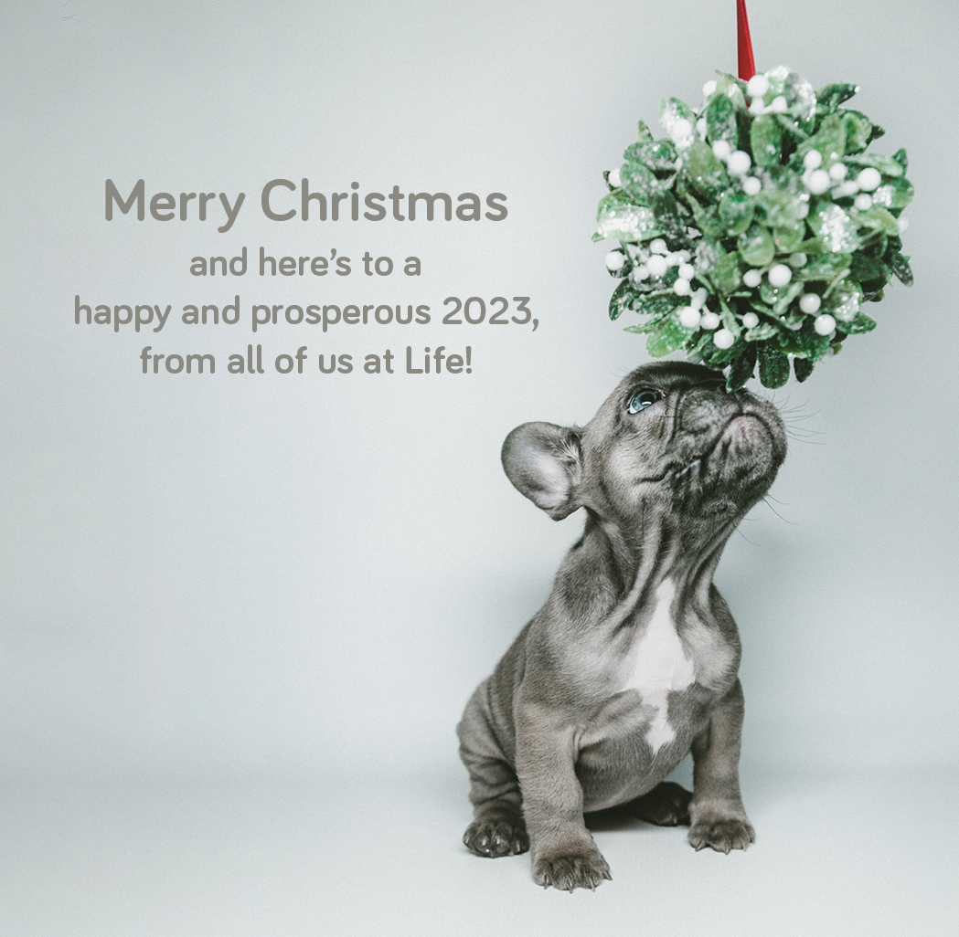 Lifeadvertising's tweet photo. Merry Christmas from all of us at Life! https://t.co/jxX0uOkff8
