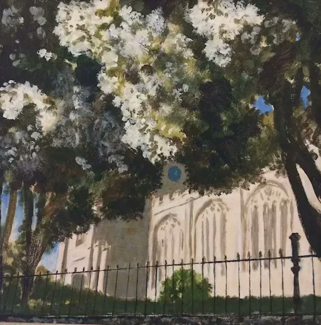 CwllGardenSoc's tweet photo. We recently posted about the glorious Eucryphia x nymansensis nymansay outside Holy Trinity Church in St Austell. We could not resist sharing this exquisite painting by #CGS Trustee, Charles Fox, of the far-sighted vicar's trees in full flower. #Cornwall #SubTropicalClimate https://t.co/aYgSalzAKK