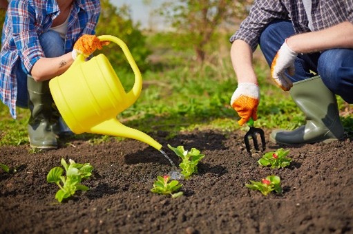 NatGen is all about planting seeds! Through the words, messages, and images of our GEBA books--and by offering STEM Seed Grants--we inspire the next generation of environmental stewards. In this season of giving, your donation will help us reach more kids! NatGen.org/donate