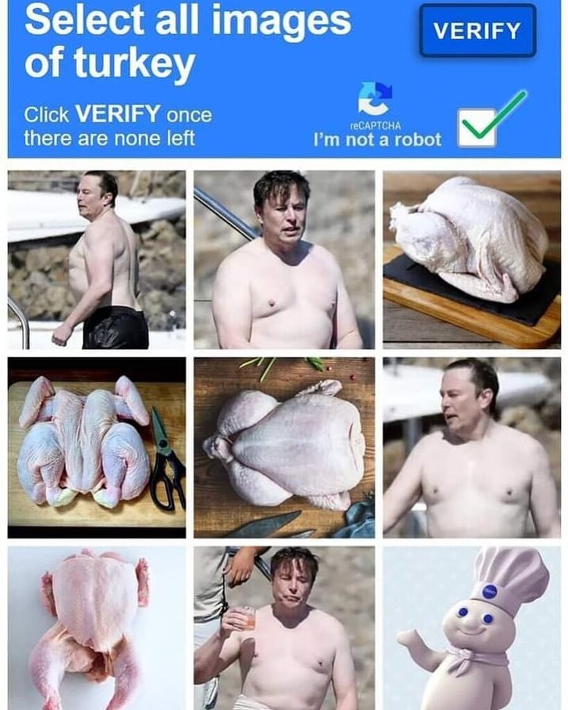 REAL ROCK SHOW tweet media