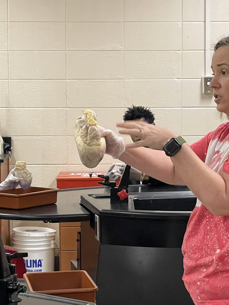 Louisville High School tweet media