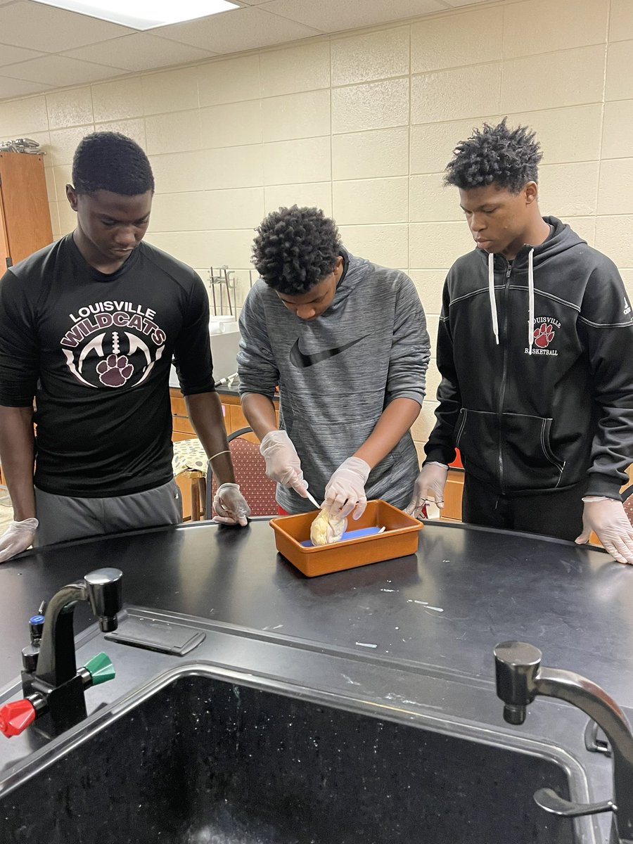 Louisville High School tweet media