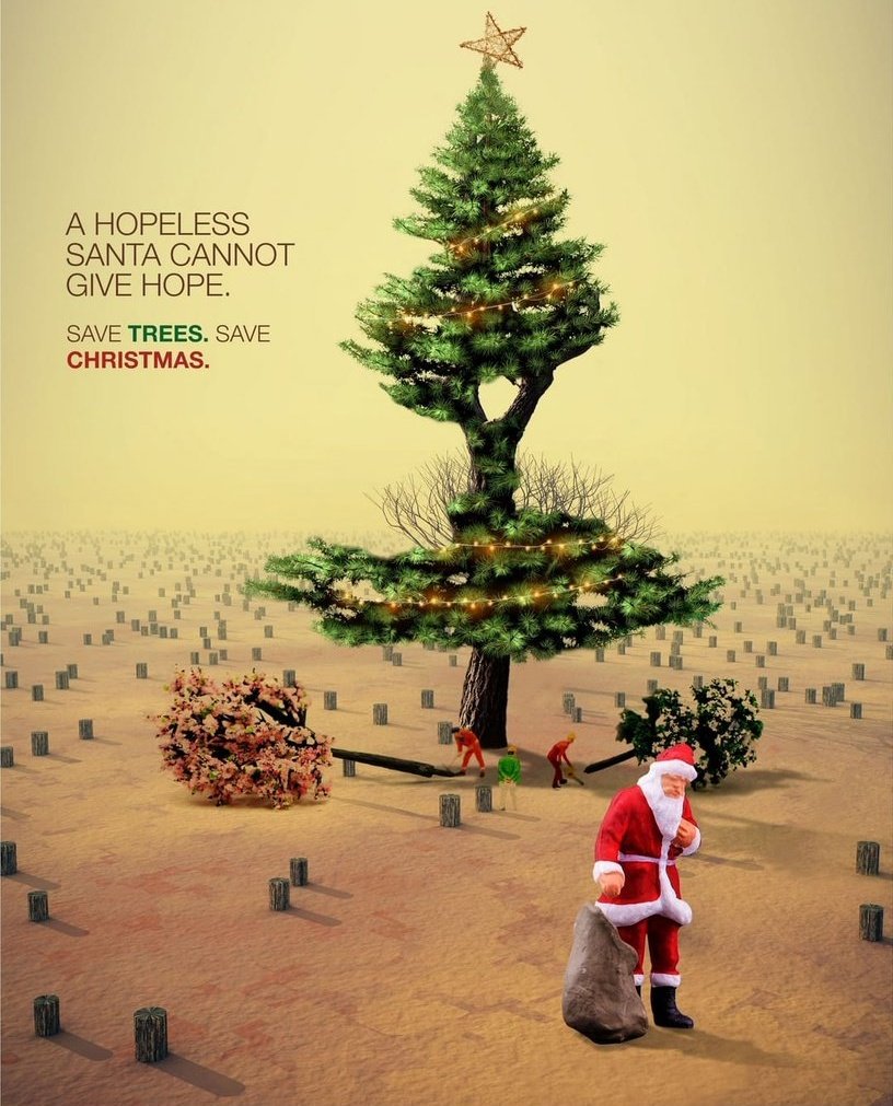 PvtKher's tweet photo. Save trees this Christmas and spread hope.
Save trees, save the planet

#ChristmasTree #Christmas https://t.co/K50eqQb1NC