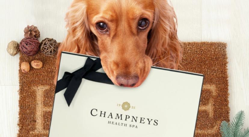 *ATTENTION*
I have 8 ⁦<a href="/champneys/">Champneys</a>⁩ gift vouchers (worth £1000 each) left to give away to to unsung heroes as a thank you holiday at one of their spas. Tweet me your recommendations for who deserves a little treat &amp; why. Use #PiersXmasHeroes
