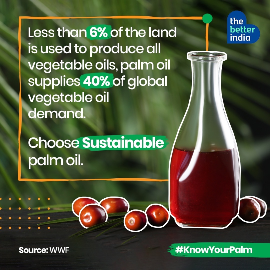 European Palm Oil Alliance ES tweet media
