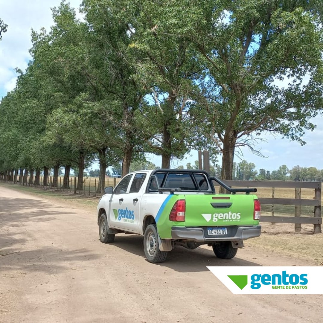 Gentos Argentina tweet media