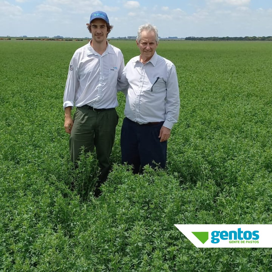 Gentos Argentina tweet media