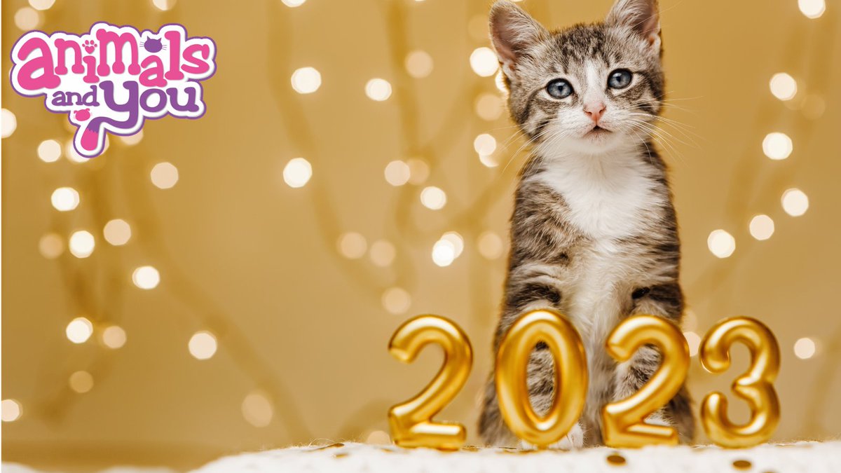 #HappyNewYear from team Animals and You! We hope 2023 brings you lots of laughter and joy 💖