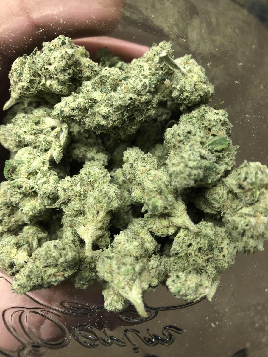 WriteWeed's tweet photo. Turtle OG #Mmemberville #StonerFam #PuffPUffPass https://t.co/GUTC8ZElcV