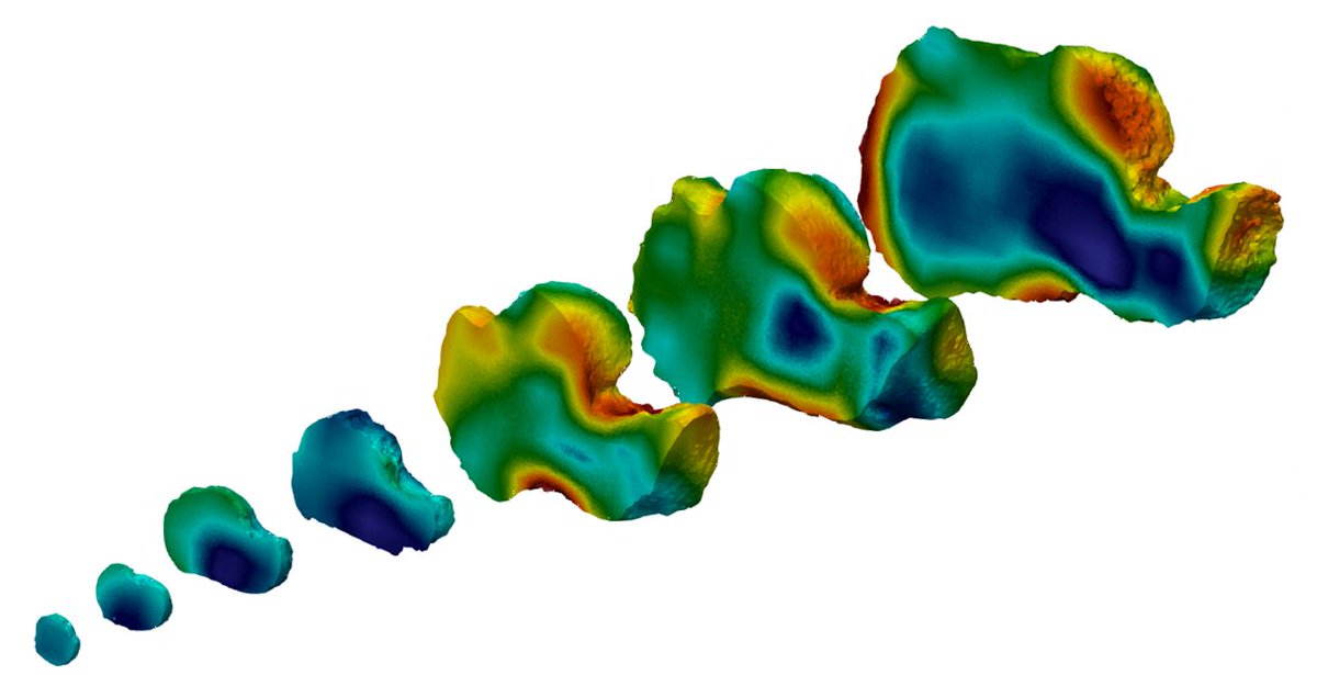 Social Sci @WesternU (@westernusocsci) on Twitter photo New research from <a href="/J_Saers/">Jaap Saers</a>, <a href="/JayTStock/">@JayTStock</a>, et al, shows that brain development in humans & other primates is closely linked to skeletal development, a finding that creates completely new options for studying the evolution and development of the human brain. ssc.uwo.ca/news/2022/bone⦠New research from <a href="/J_Saers/">Jaap Saers</a>, <a href="/JayTStock/">@JayTStock</a>, et al, shows that brain development in humans & other primates is closely linked to skeletal development, a finding that creates completely new options for studying the evolution and development of the human brain. ssc.uwo.ca/news/2022/boneā¦