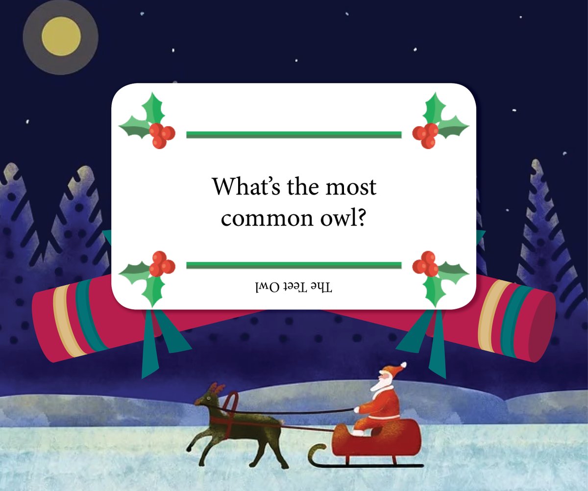 cgpbooks's tweet photo. Who doesn't love a cracker joke? We certainly do, so here's another one to tickle your tinsel! 🎅🏼 #cgpbooks #edutwitter #teachersoftwitter #christmas #dadjokes https://t.co/e8Z1Eej9r3